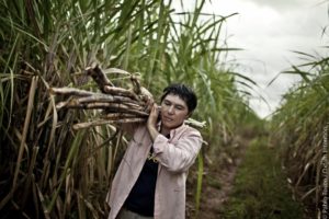 socio Manduvira. Paraguay. comercio justo