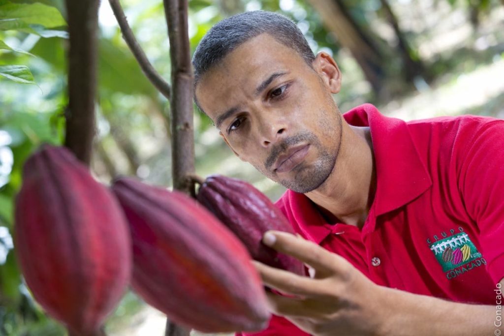 productor cacao comercio justo y ecológico