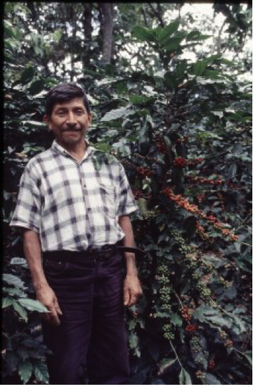 ¿De dónde viene el café que consumes? en este caso aparece un productor de Guatemala