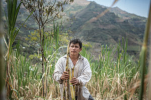 serafin productor comercio justo
