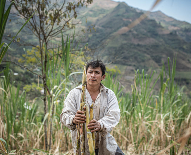 serafin productor comercio justo
