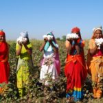 Mujeres productoras de algodón orgánico de la Cooperativa de Comercio Justo Chetna