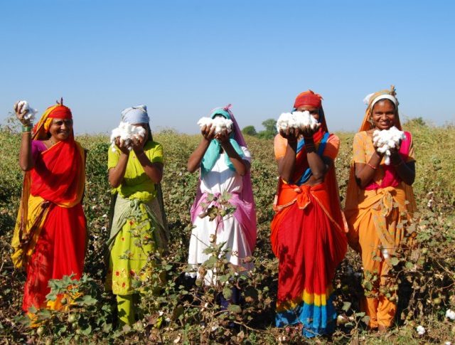 Mujeres productoras de algodón orgánico de la Cooperativa de Comercio Justo Chetna