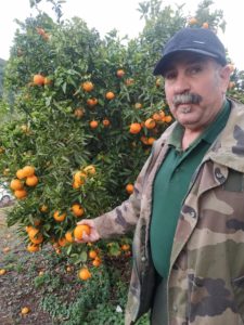 Germà productor de mandarinas y naranjas ecológicas de compromiso local