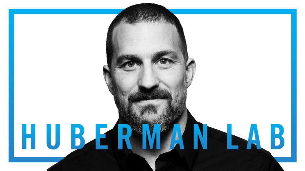 imagen del podcast Huberman Lab