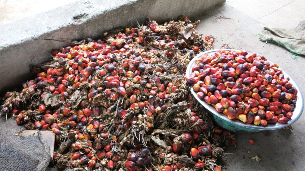 ¿Qué hacemos con el Aceite de Palma?.. y con las familias que lo cultivan?
