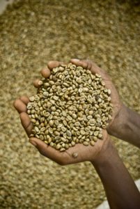 café de comercio justo en grano y verde