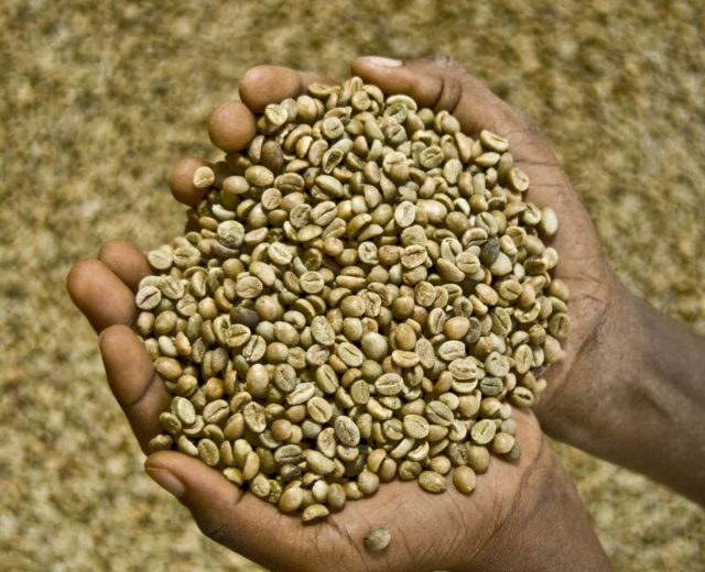 café de comercio justo en grano y verde