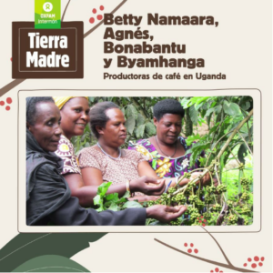 productoras café tierra madre mujer en Uganda