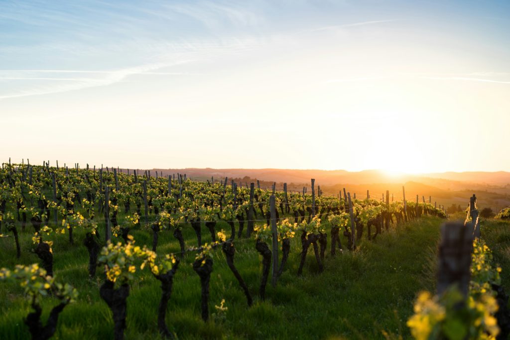 ¿Qué es el vino Pét Nat?