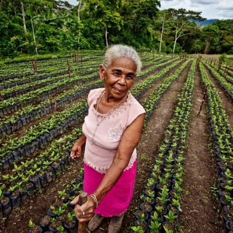 Mujer trabajadora de una cooperativa de comercio justo de café
