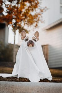Disfraz Halloween Karsten Winegeart