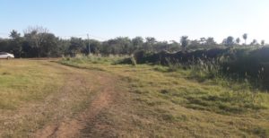 selección del terreno para instalar el vivero de Manduvira
