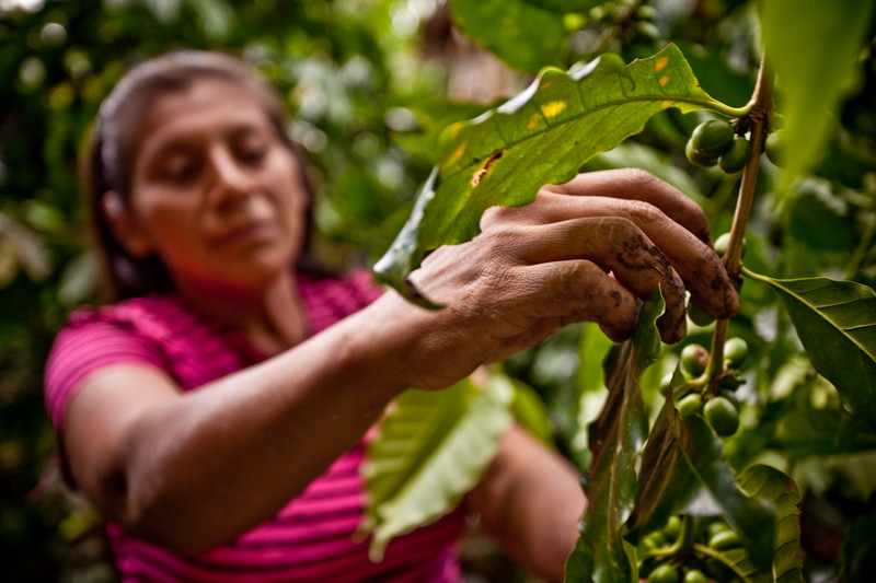 foto productora café tierra madre de comercio justo en Nicaragua