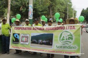 Norandino lucha contra el cambio climático
