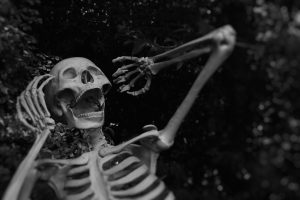 hallowen ecológico